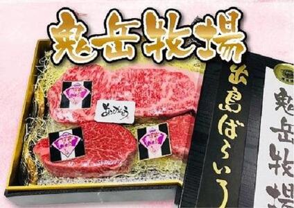 【AB472】長崎和牛 出島ばらいろ 特上ヒレステーキ２枚＆ 特上サーロインブロック | 国産牛 ステーキ