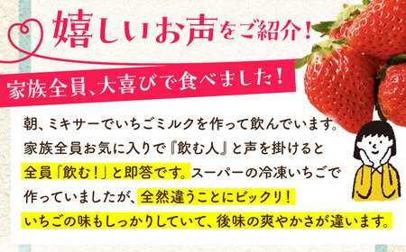 冷凍いちご 1kg HAF003 いちご 苺 アイス