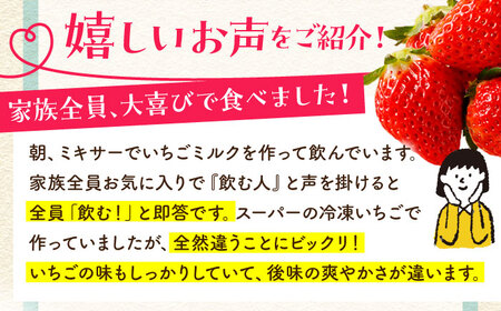 冷凍いちご 1kg HAF004 いちご 苺 アイス