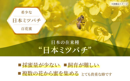 天然生はちみつ（百花蜜）200g [HAQ031]はちみつ