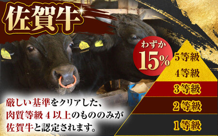 佐賀牛 年6回定期便（隔月配送）【Trade com 8】 [HBO012] サーロイン ステーキ ローストビーフ