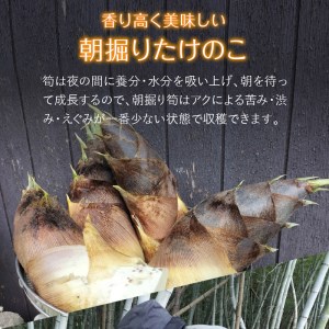 薪で炊いた柔らか仕立てのたけのこ水煮200ｇ2袋とパハール岩塩500ｇセット