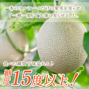 【0925-3】やまの農園　感謝のメロン～一期一会「うしわか」～≪先行予約≫【2026年7月中旬より順次発送予定】