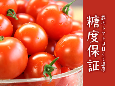 12月以降発送予約【霧で育てた濃厚な味】霧のトマト 200ｇ×4パック（06-16）