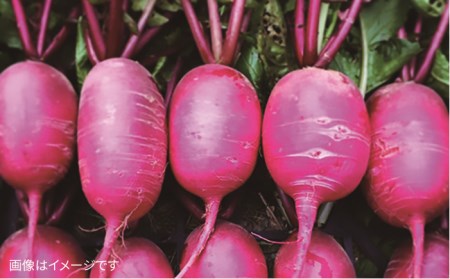 【 全3回 定期便 】【 福岡県 糸島産 】 朝採れ サラダ用 野菜 セット 《糸島》【オーガニックナガミツファーム】 	[AGE005]