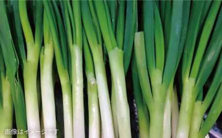 【 全3回 定期便 】 こだわり 野菜  ( 7品 前後 ) セット ＋ 果物 《糸島》【オーガニックナガミツファーム】 	[AGE007]