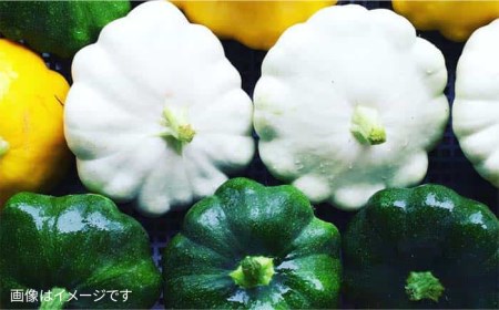 【 栽培期間中農薬 ・ 化学肥料 不使用 】こだわり 高級希少野菜 セット《糸島》【オーガニックナガミツファーム】	[AGE014]