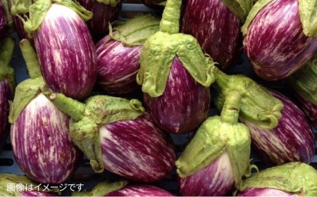 【 全6回 定期便 】 朝採れ 温野菜＆生食野菜セット （ 6品 前後 ）  《糸島》【オーガニックナガミツファーム】 	[AGE020]