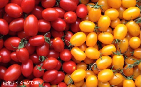 【 全3回 定期便 】【 福岡県 糸島産 】 朝採れ 野菜 セット （ 12品 前後 ） 《糸島》【オーガニックナガミツファーム】 	[AGE024]