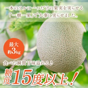 【0926-3】やまの農園 感謝のメロン～一期一会「べんけい」～1玉≪先行予約≫【2026年7月中旬より順次発送予定】
