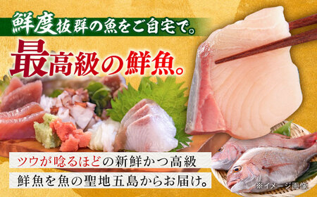 【五島列島直送】朝獲れ高級鮮魚セット2kg 五島市 / 鯛福丸水産[PDP002]  鮮魚 セット 冷蔵 刺身 魚 海鮮 直送 さかな 詰合せ 新鮮 料理