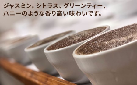 中煎り コーヒー 豆 250g × 2袋 （ 豆 ・ 粉 選べます ） ニカラグア産 エルポルベニール農園 ジャバニカ種 ナチュラル 《糸島》 【COFFEE UNIDOS】 [AQF005]