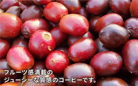 中煎り コーヒー 豆 250g × 2袋 （ 豆 ・ 粉 選べます ） ニカラグア産 ラベンディション農園 マラカツーラ種 ナチュラル 《糸島》 【COFFEE UNIDOS】 [AQF001]
