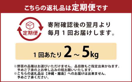 【定期便3回】旬の朝採れ土佐野菜詰め合わせ（10～13品目）詰め合わせ 野菜セット 野菜 ギフト やさいセット お取り寄せグルメ 家庭用 旬野菜 新鮮 特産 農薬不要 食材