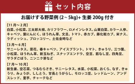 旬の野菜の詰め合わせと栽培期間中 農薬不使用の生姜200g付き 詰め合わせ 野菜セット 野菜 ギフト やさいセット お取り寄せグルメ 家庭用 旬野菜 新鮮 特産 農薬不要 食材