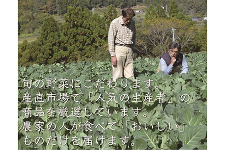 旬の採れたて新鮮野菜セット10品目「新鮮だから美味しい！」