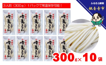 「さぬき半生」 讃岐吟麦うどん 30人前 300g×10袋 麺類 