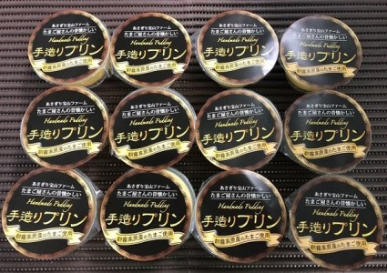 0015-40-10 富士山朝霧高原たまご使用 手造りプリン 12個セット
