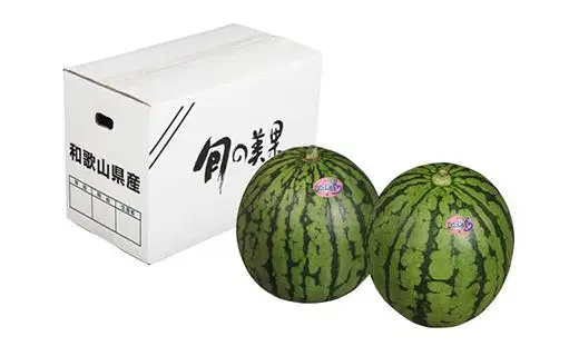 とっても甘い！食べきりサイズの小玉スイカ　ひとりじめ　2玉入［HC2］