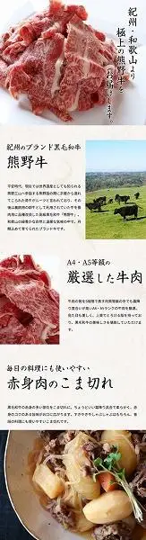 熊野牛 A4以上 霜降り 赤身 こま切れ 500g ［UT145］