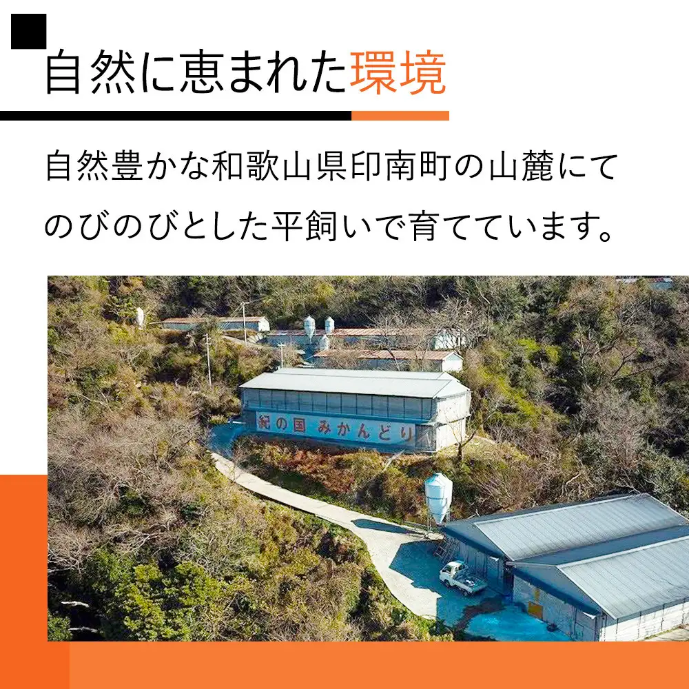 紀の国みかんどり　フライドチキン