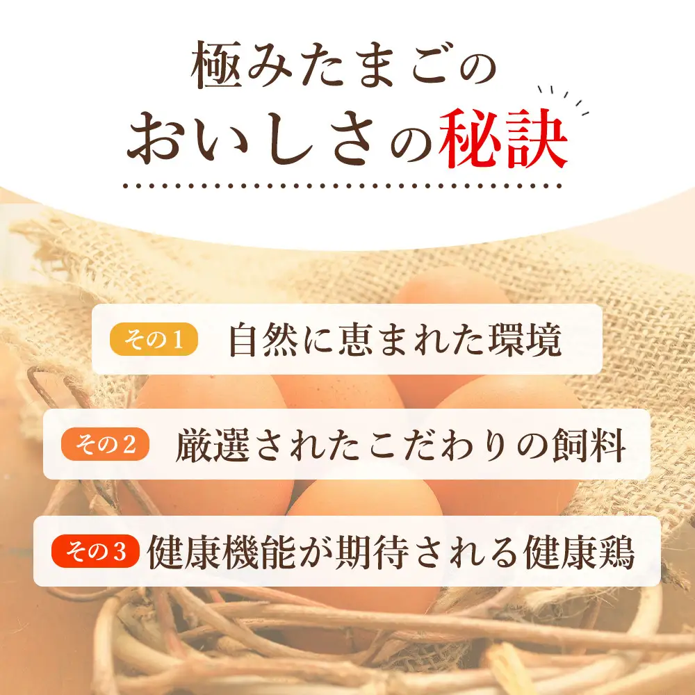 【全3回】紀の国みかん極みたまご定期便 卵 たまご 玉子 