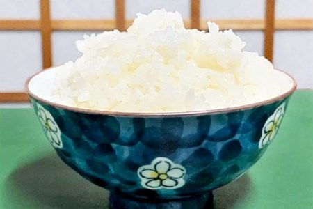 米 令和7年 無洗米 長野県産 コシヒカリ 10kg [大北農業協同組合 長野県 池田町 48110829]