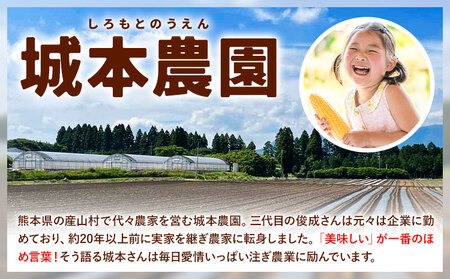 【ふるなびWEEK対象】とうもろこし 15本 城本農園 とうもろこし