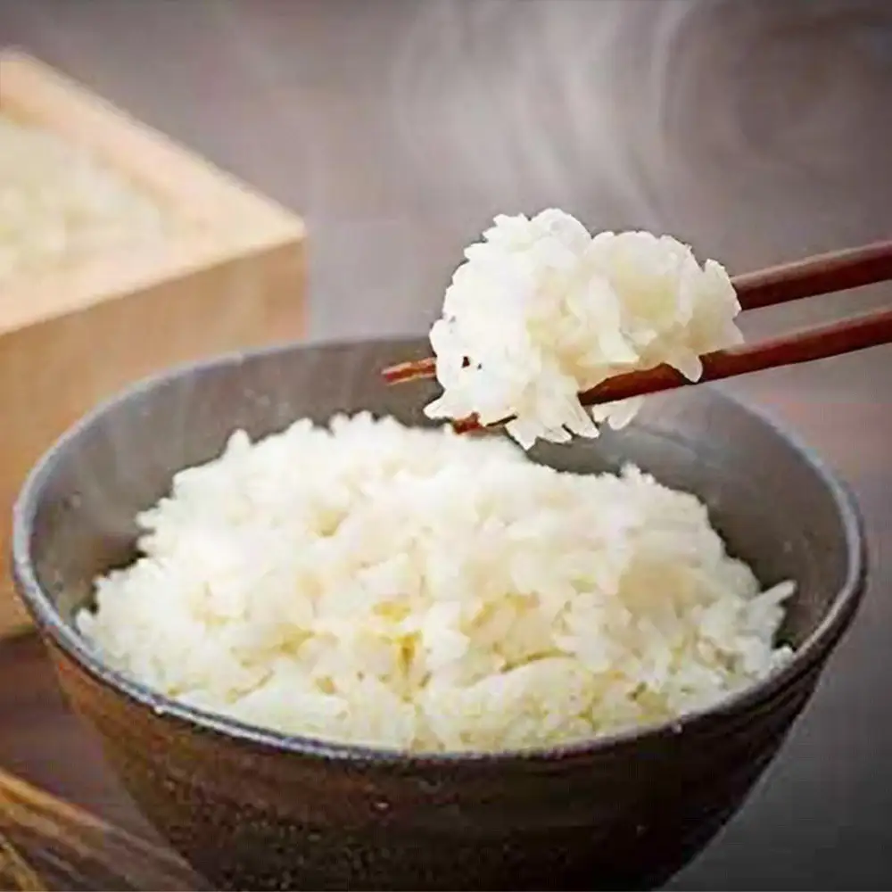 【令和7年産】八町米 コシヒカリ５Kg