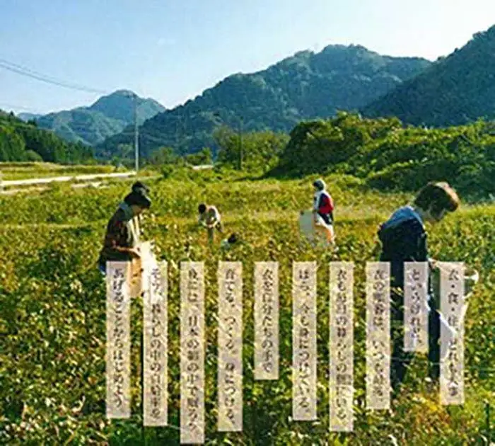 （女性用）希少な富山産の綿で作った快眠、肩腰楽・和綿まくら