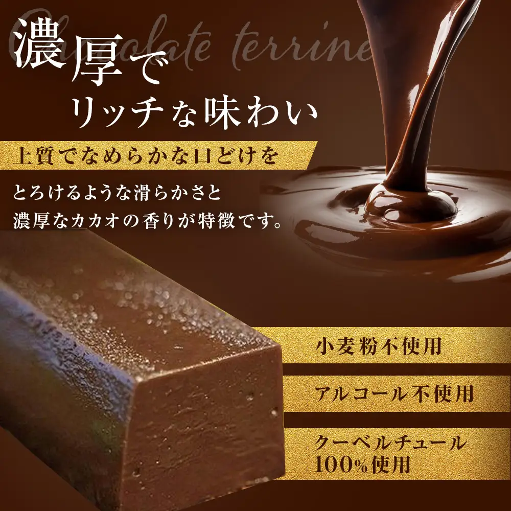 究極のデザートチョコレート【テリーヌショコラピスターチ】