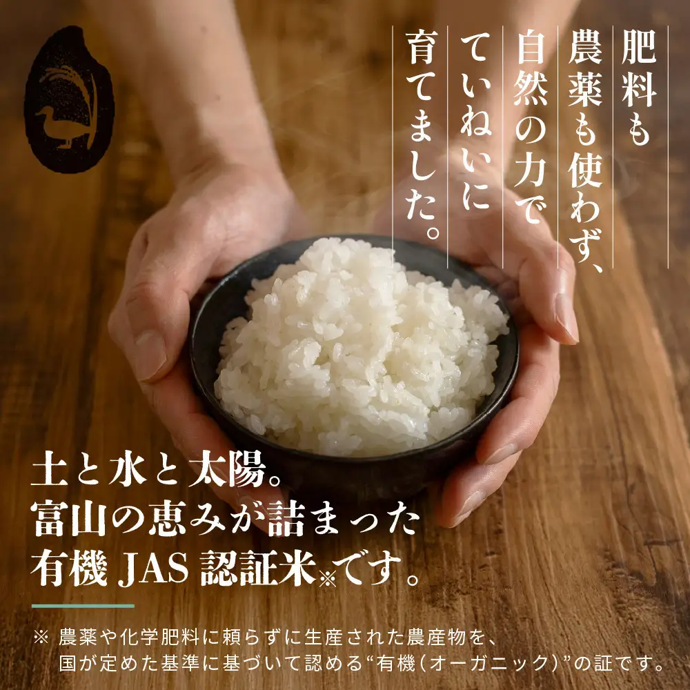 有機米 コシヒカリ 5kg　棚田-tanata-（有機JAS認証米） 米 白米 精米