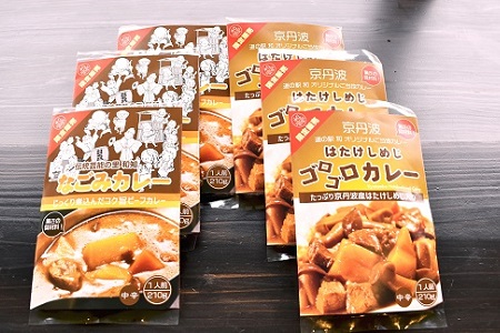 駅長おすすめご当地カレー　はたけしめじゴロゴロカレーとコク旨ビーフカレーセット　[010NA026]