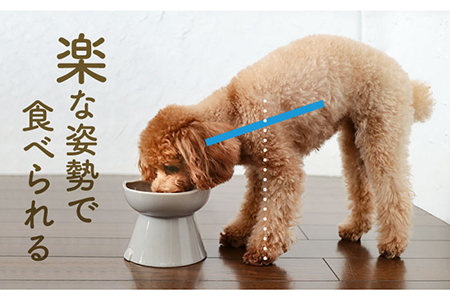 【美濃焼】NNMA 犬型 フードボウル（くりーむいぬ）【株式会社二幸】フードボウル 犬 イヌ いぬ 犬用品 餌皿 エサ鉢 ドッグフード ペット用品 安心 小型犬 インテリア かわいい おしゃれ クリーム色 ギフト 贈り物 プレゼント 送料無料 [MCZ031]