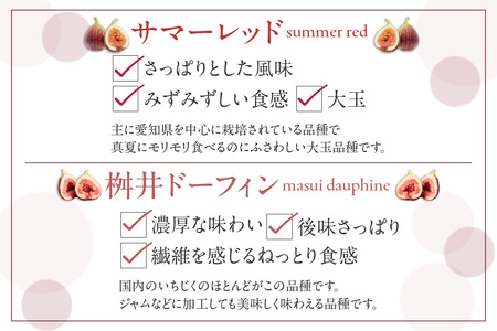 【先行予約】ふんわり柔らか朝どり完熟いちじく