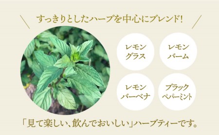 【全6回定期便】ハーブティー＜さわやかブレンド＞2袋【Goenヘルス＆ビューティー】[HBQ016]お茶 ペパーミント レモングラス