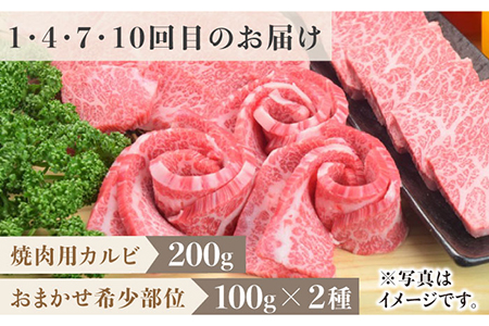 【全12回定期便】1ヶ月に1度の佐賀牛ひとり贅沢コース ステーキ/焼肉/スライス牛肉 希少 赤身 カルビ ヒレ サーロイン モモ 切り落とし[FAY067]