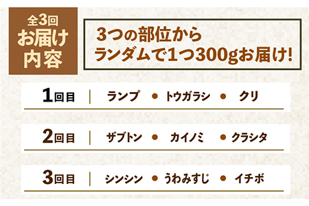 【全3回定期便】佐賀牛希少部位?ひとり贅沢焼肉コース? ランプ/クリ/トウガラシ/ザブトン/カイノミなど【ミートフーズ華松】 ブランド 高級 和牛 霜降り BBQ やわらか 冷凍 料理  精肉 牛肉 希少 赤身 イチボ ランプ ミスジ [FAY071]