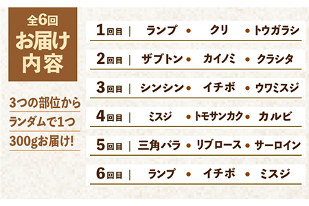 【全6回定期便】佐賀牛希少部位含む?ひとり贅沢焼肉コース? ランプ/クリ/トウガラシ/ザブトン/カイノミなど【ミートフーズ華松】 ブランド 高級 和牛 霜降り BBQ やわらか 冷凍 料理  精肉 牛肉 希少 赤身 イチボ ランプ ミスジ [FAY072]