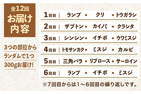 【全12回定期便】佐賀牛希少部位含む?ひとり贅沢焼肉コース? ランプ/クリ/トウガラシ/ザブトン/カイノミなど【ミートフーズ華松】 ブランド 高級 和牛 霜降り BBQ やわらか 冷凍 料理  精肉 牛肉 希少 赤身 イチボ ランプ ミスジ [FAY073]