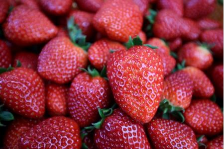 いちご農家の贈り物 香り高くさわやかな甘さの古都華ジャム 5本セット◇