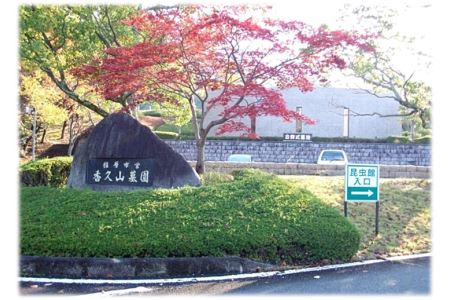 墓地の清掃作業◇
