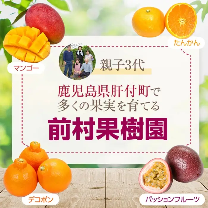 【A52003】＜先行予約受付中！2026年6月下旬より準備が整い次第順次発送＞《数量限定》前村さんちのパッションフルーツ(約2.2kg・12玉入り2箱)フルーツ 果物 果実 鹿児島 国産 ビタミン 産地直送 ギフト プレゼント【前村果樹園】