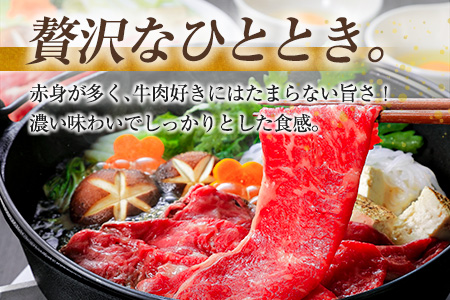 宮崎牛 肩（ウデ）すき焼き用（500g×2パック）計1kg ※ご入金月の翌月中に出荷【C381-2503】