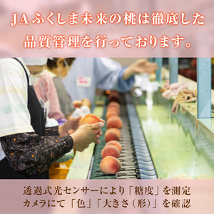 【2026年出荷分先行予約】福島県産 特秀 あかつき 約5kg (20～22玉) ふくしま未来農業協同組合 特秀 小玉 透過式光センサー選別 糖度12度以上 伊達の桃 桃 フルーツ 果物 もも モモ momo F20C-586