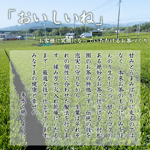 お茶 「大地の茶」500g (100g×5袋) お茶の葉 日本茶 緑茶 茶葉 セット 富士山麓 コク中蒸し製法 こだわり 美味しい 銘茶 煎茶 ギフト プレゼント 飲み物 富士のやぶ北茶 静岡茶 お茶葉 老舗 大正5年創業 村松園 富士市 [sf002-135]
