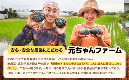 玄米パフ(10パック入り) 1パック35g 自然で優しい素朴なスナック菓子 元ちゃんファーム《90日以内に出荷予定(土日祝除く)》 和歌山県 紀の川市 玄米 パフ 送料無料