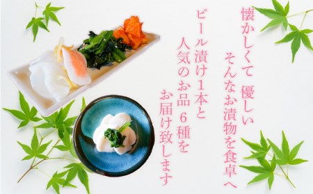 漬物 定期便 6ヶ月 季節野菜 漬物 7種 沼津