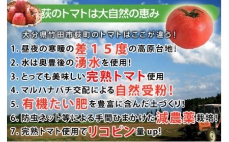 トマトジュース 6本セット 500ml×6本 完熟 トマト100% 大分県 竹田市