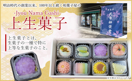 【定期便】和菓子 上生菓子 四季の定期便【上生菓子 上生菓子 上生菓子 上生菓子 上生菓子】 Wyd-0024